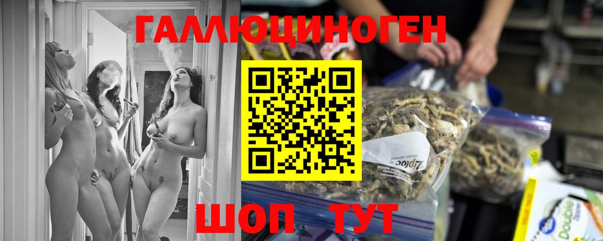 Псилоцибиновые грибы Cubensis Оренбург